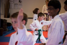 karate aalborg