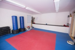 shin gi tai karate aalborg