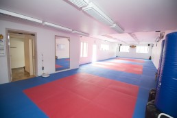 shin gi tai karate aalborg