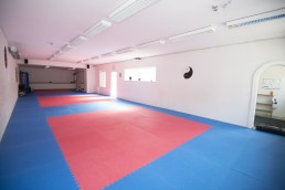 shin gi tai karate aalborg