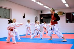 karate aalborg